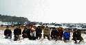 Участники ШНива-пробега на Оку на фоне своих железных коней. Еще несколько экипажей со своими аппаратами остались в лагере для охраны недоеденных шашлыков :)