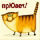 Аватара пользователя