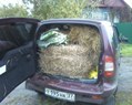 Аватара пользователя