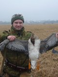 Аватара пользователя