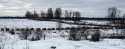 Внедорожный Женский День 8 марта 2008 (Boma Dzin)