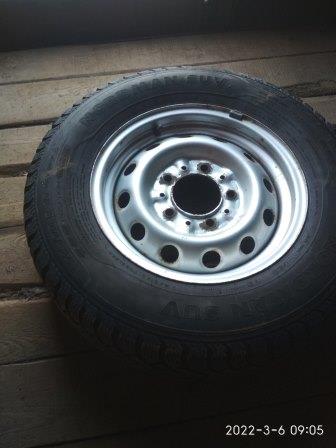 IMG_20220306_090547.jpg