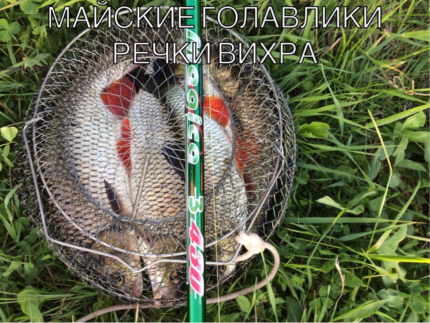 IMG_0668.JPG