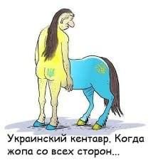 IMG-20230831-WA0032.jpg