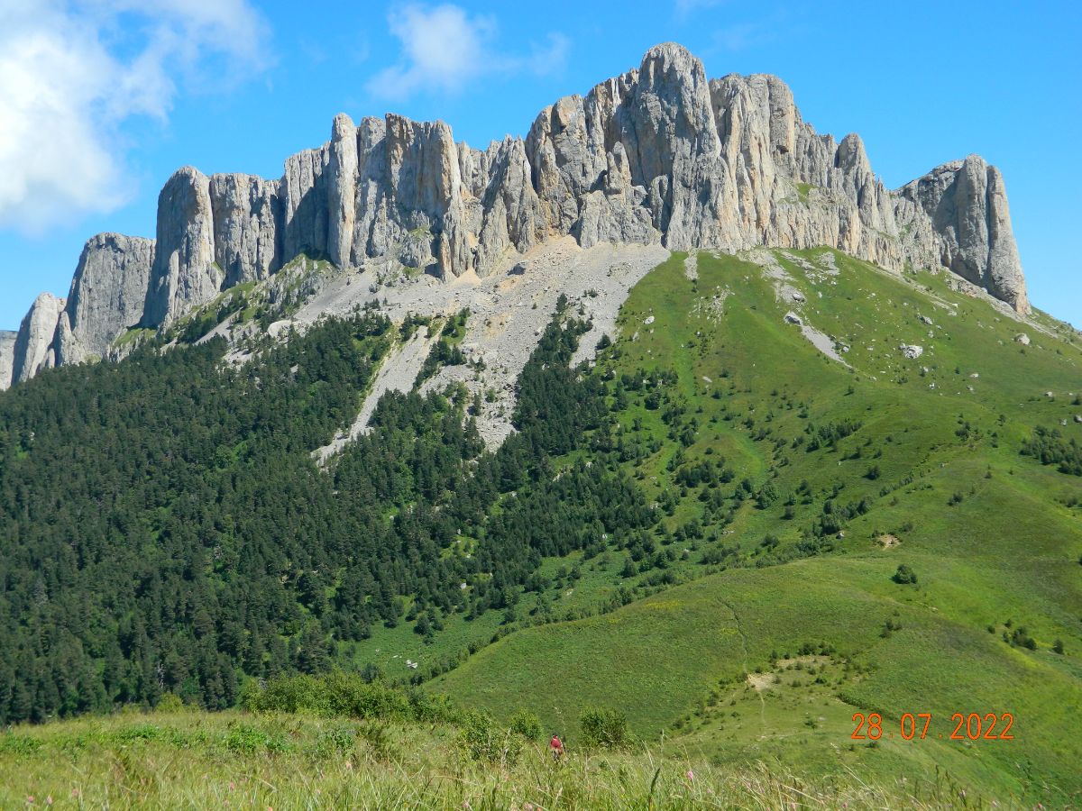 DSCN7342.jpg