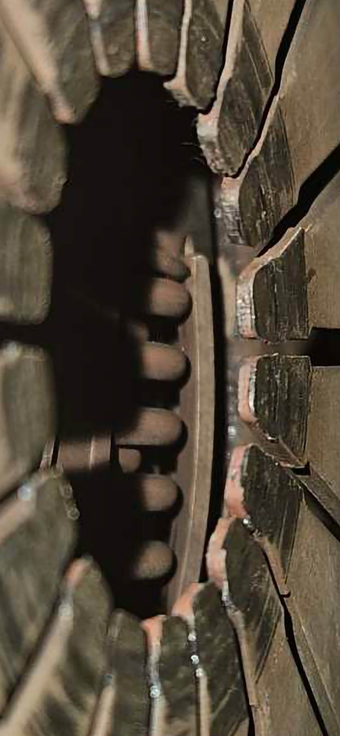 Screenshot_20241002_162635_Gallery_9Evx22bR2w.jpeg