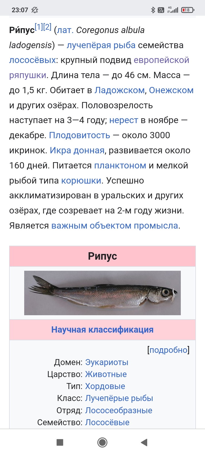 Screenshot_2024-12-04-23-07-39-097_com.android.chrome.jpg