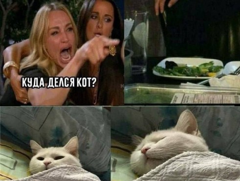 кот-25 .jpg