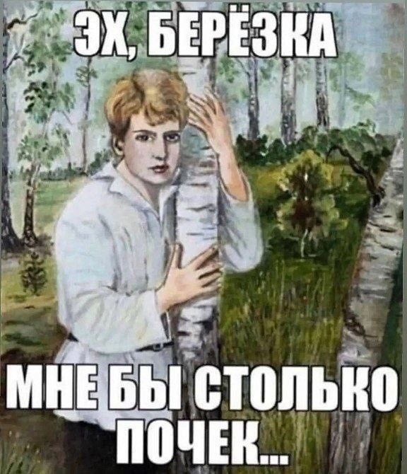 17889548.jpg