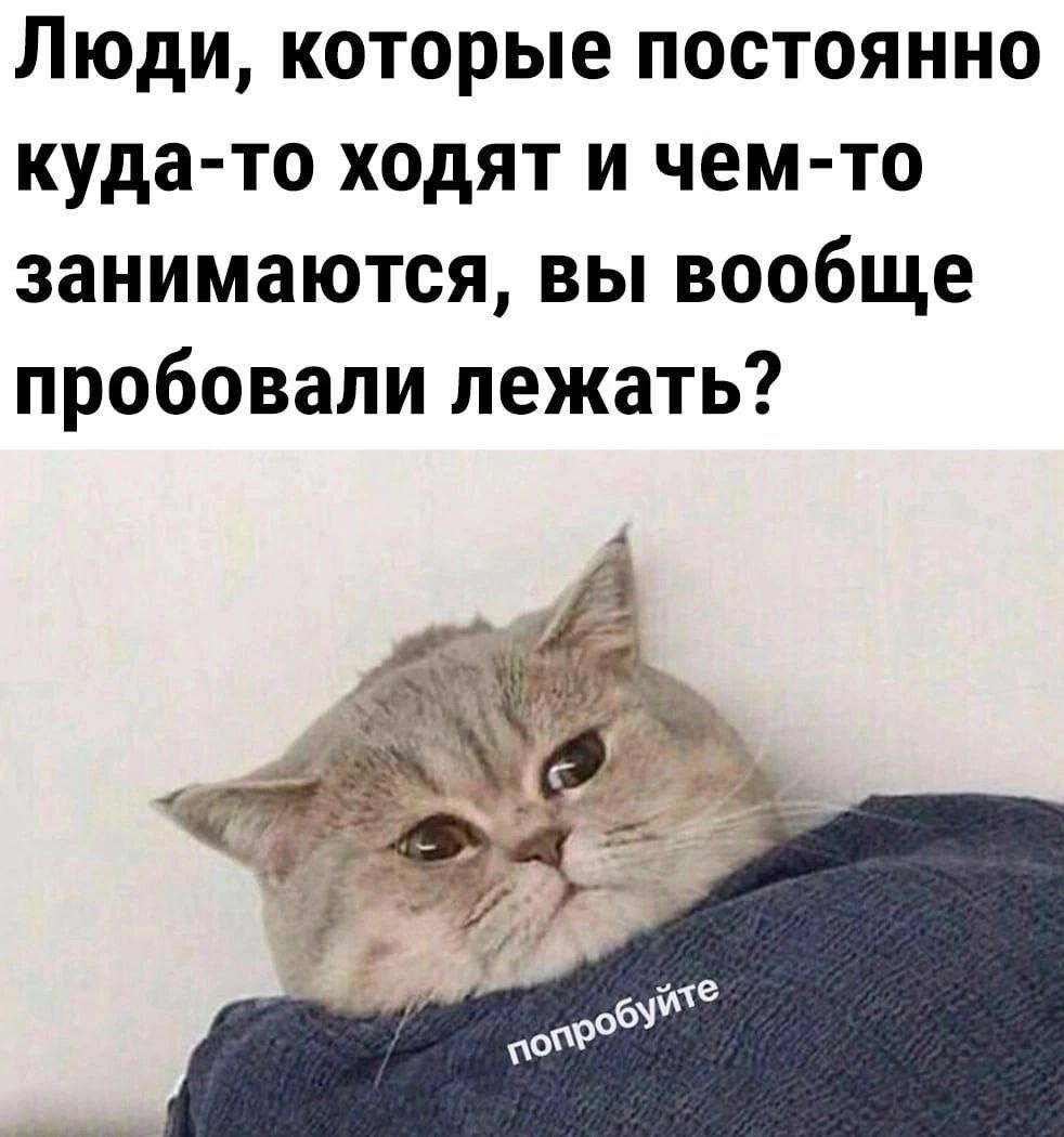5386427393855581485.jpg