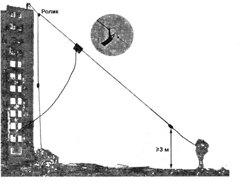 ant6.jpg