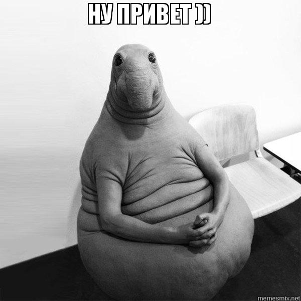 ЖДУН.jpg