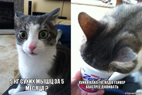 risovach.ru.jpg