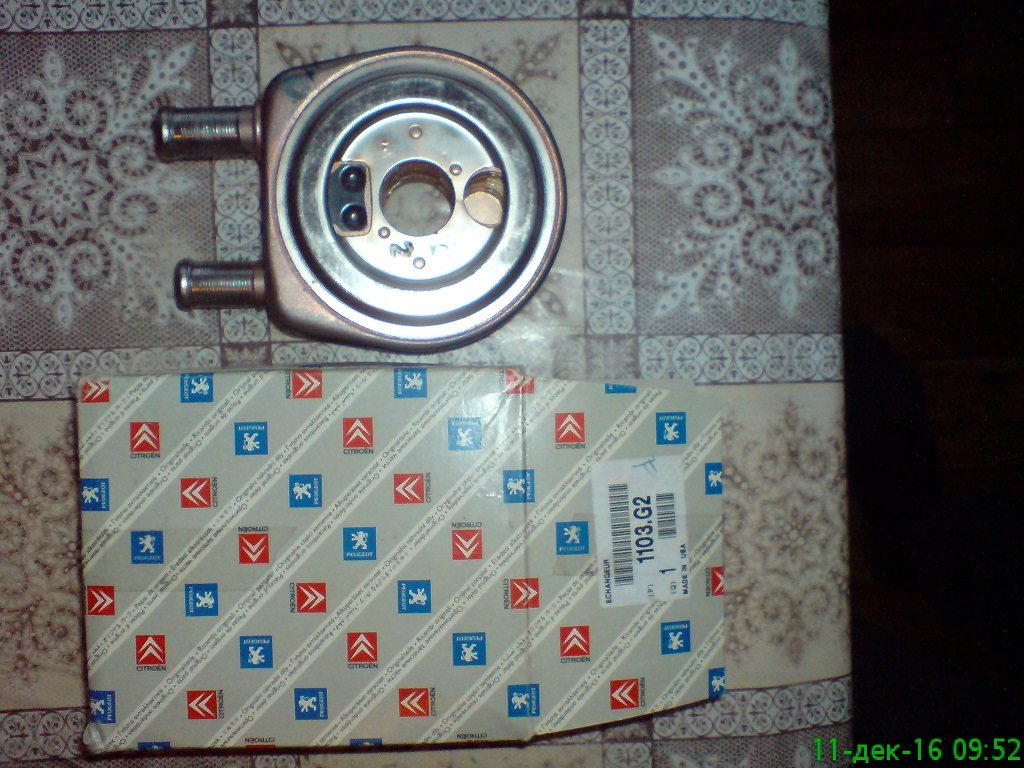 DSC03189_1.jpg