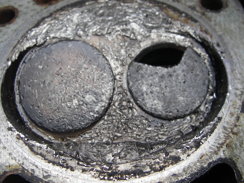 IMGP0906.JPG