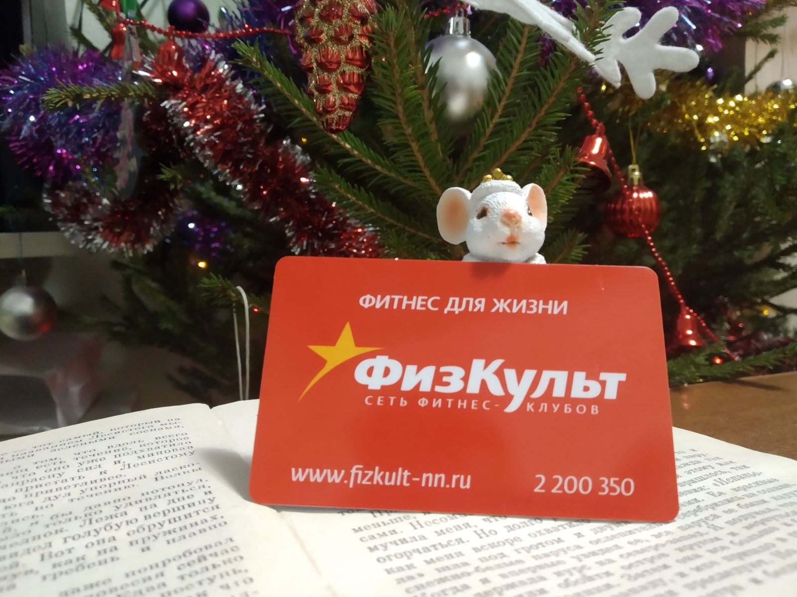 физкульт.jpg