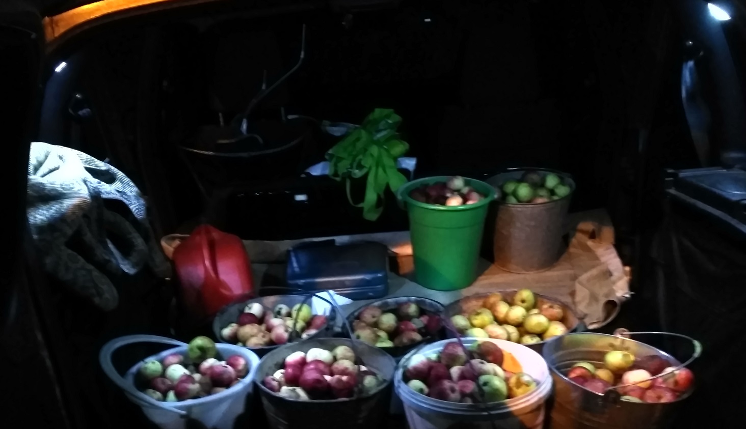 2019-08-20 21-21-30.JPG