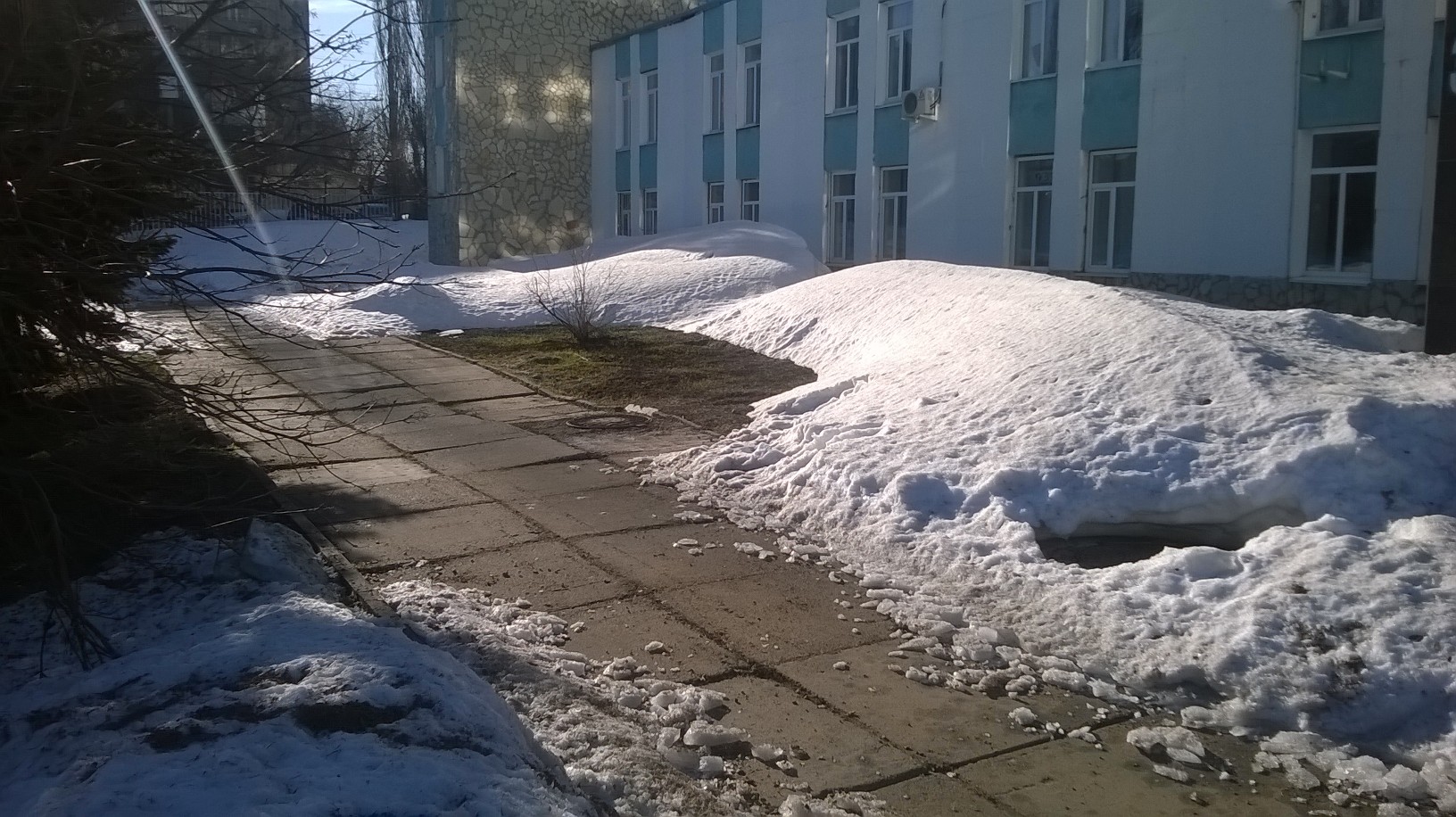 WP_20170411_001.jpg