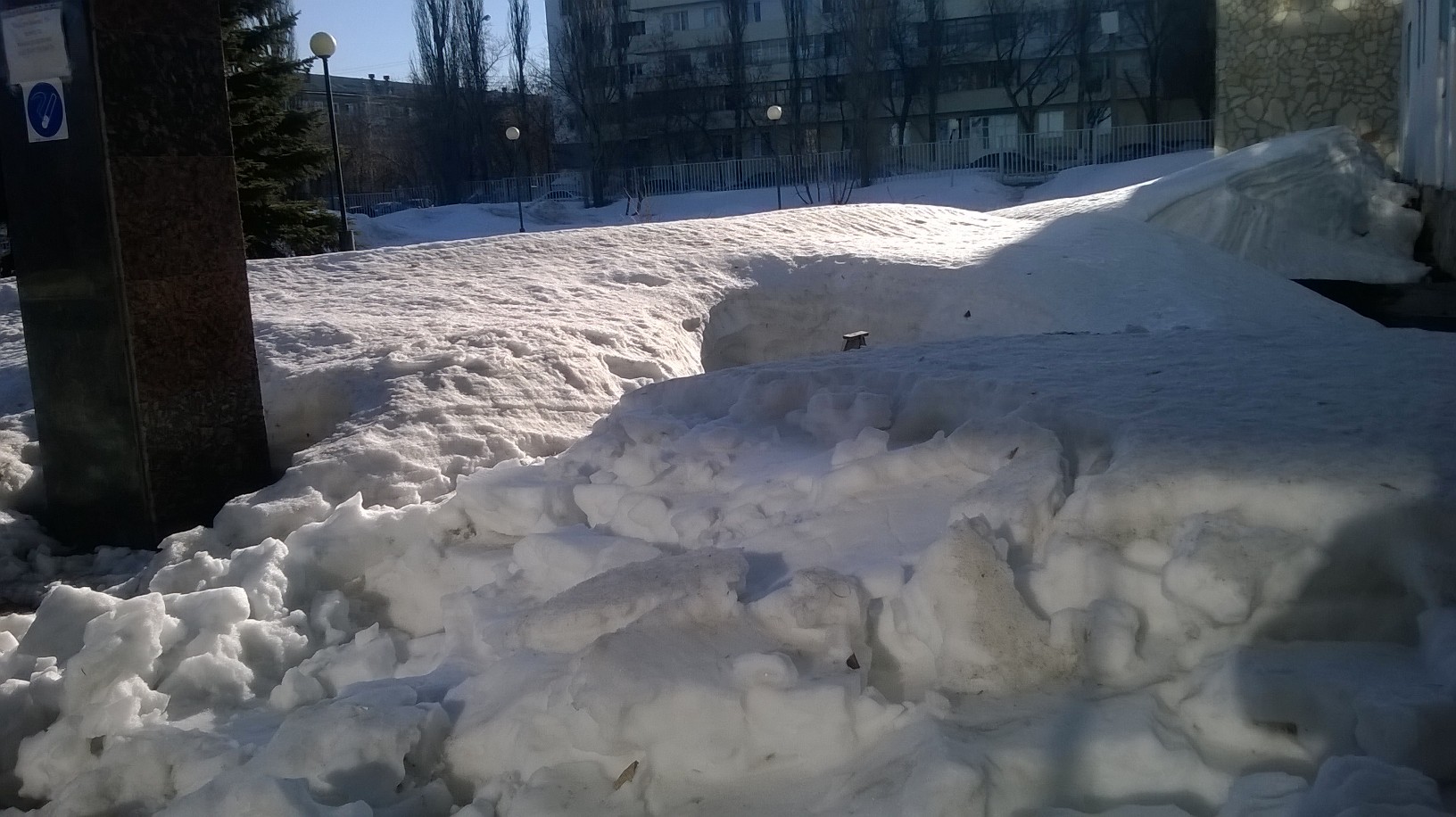 WP_20170411_002.jpg