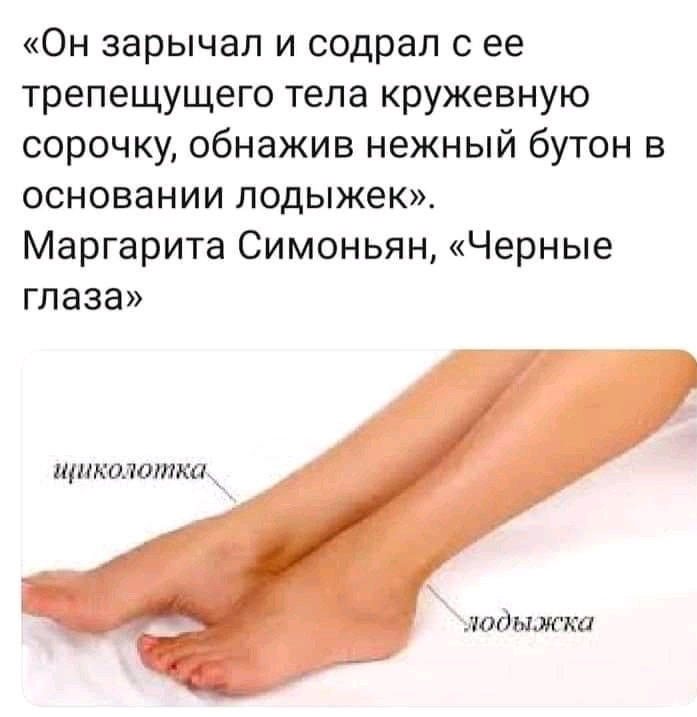 FB_IMG_16054244155180583.jpg