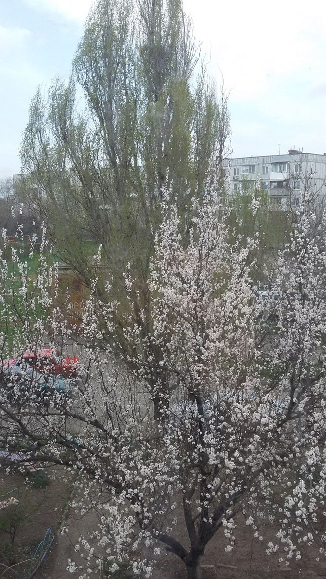 20170414_115111.jpg