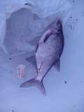 IMG 20170219 103604