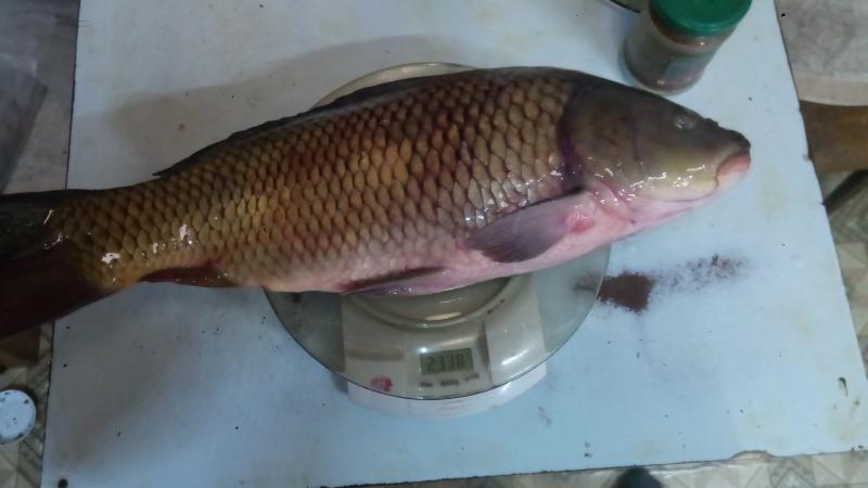 IMG 20201212 170010