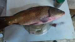 IMG 20201212 170010