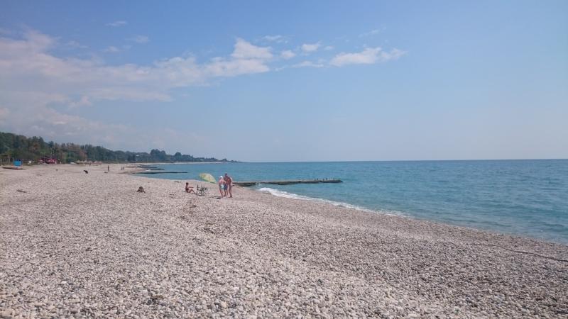 DSC 0608