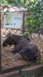 IMG-20240901-WA0016