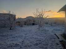 IMG20250408063709