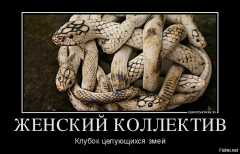 Женский коллектив