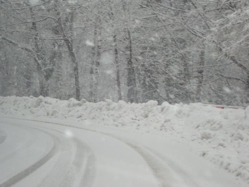 DSC03475