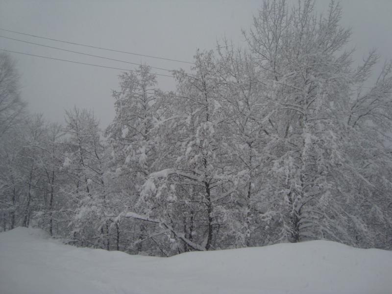 DSC03422