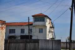 DSC1073