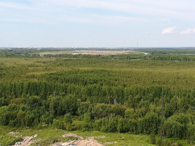 IMG 20190725 143402