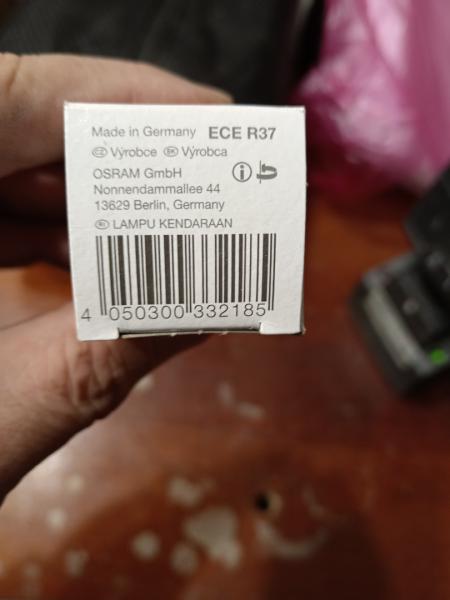 IMG 20241109 144142